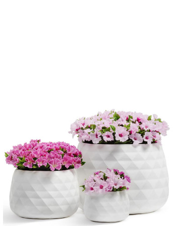 Комплект искусственных растений в кашпо Treez №122