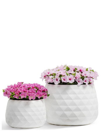 Комплект искусственных растений в кашпо Treez №123