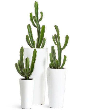 Комплект искусственных растений в кашпо Treez №38