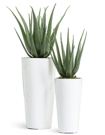 Комплект искусственных растений в кашпо Treez №39