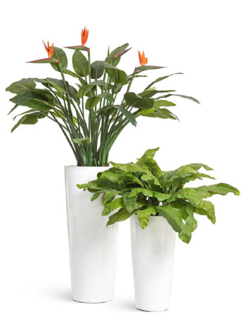 Комплект искусственных растений в кашпо Treez №37