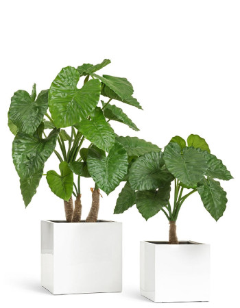 Комплект искусственных растений в кашпо Treez №44