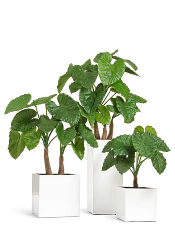 Комплект искусственных растений в кашпо Treez №43