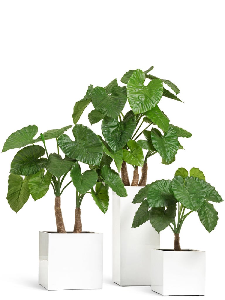 Комплект искусственных растений в кашпо Treez №43