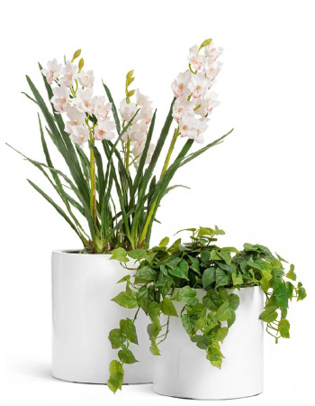 Комплект искусственных растений в кашпо Treez №55 Комплект искусственных растений в кашпо Treez №55