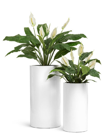 Комплект искусственных растений в кашпо Treez №41