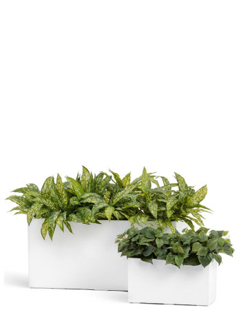 Комплект искусственных растений в кашпо Treez №48