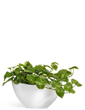 Комплект искусственных растений в кашпо Treez №60