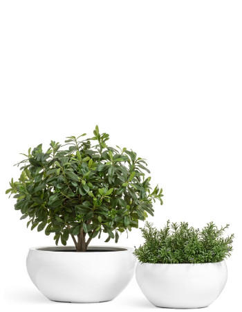 Комплект искусственных растений в кашпо Treez №57