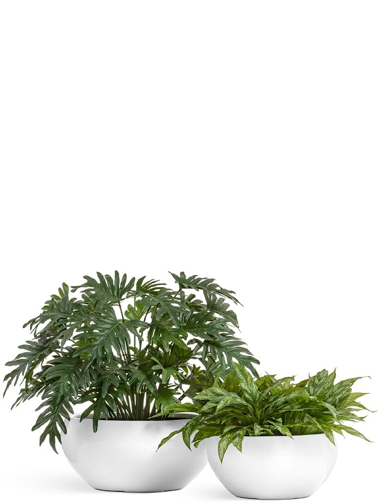 Комплект искусственных растений в кашпо Treez №58