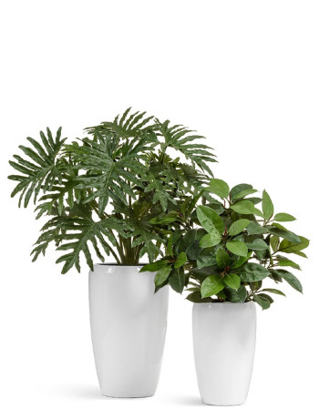 Комплект искусственных растений в кашпо Treez №40 Комплект искусственных растений в кашпо Treez №40