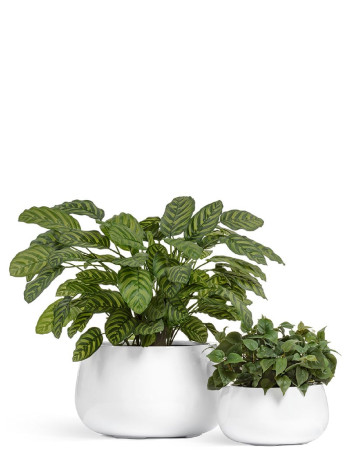 Комплект искусственных растений в кашпо Treez №56