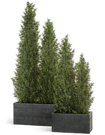 Комплект искусственных растений в кашпо Treez №129 Комплект искусственных растений в кашпо Treez №129