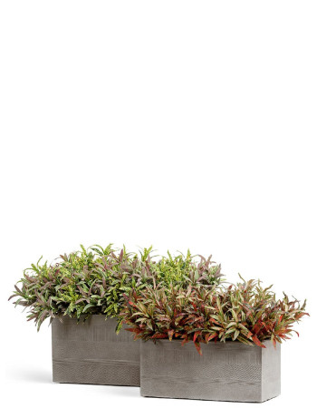 Комплект искусственных растений в кашпо Treez №126