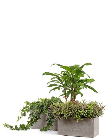 Комплект искусственных растений в кашпо Treez №125