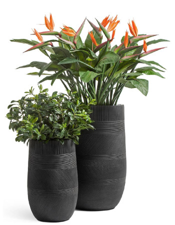 Комплект искусственных растений в кашпо Treez №133