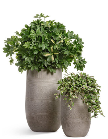 Комплект искусственных растений в кашпо Treez №124