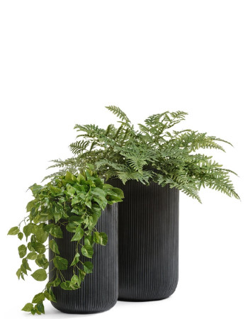 Комплект искусственных растений в кашпо Treez №139