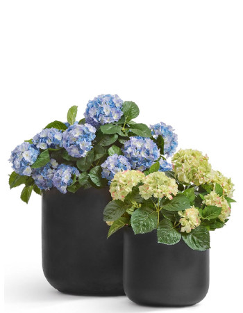 Комплект искусственных растений в кашпо Treez №153