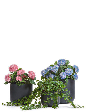 Комплект искусственных растений в кашпо Treez №155