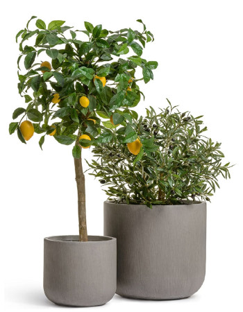 Комплект искусственных растений в кашпо Treez №147