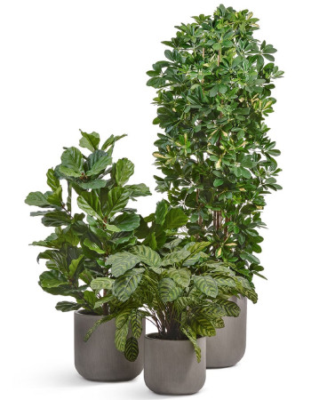 Комплект искусственных растений в кашпо Treez №144 Комплект искусственных растений в кашпо Treez №144