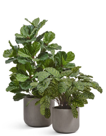 Комплект искусственных растений в кашпо Treez №145