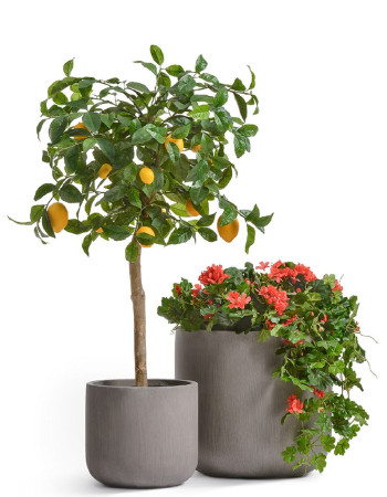 Комплект искусственных растений в кашпо Treez №148