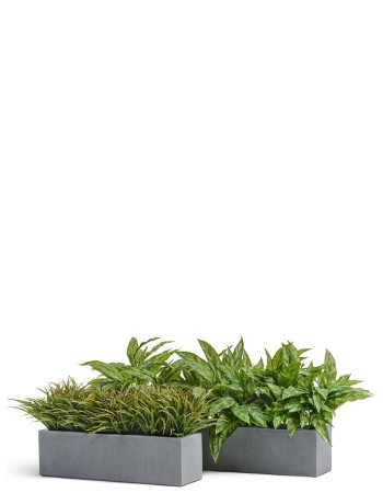 Комплект искусственных растений в кашпо Treez №149 Комплект искусственных растений в кашпо Treez №149