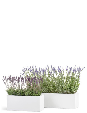 Комплект искусственных растений в кашпо Treez №151