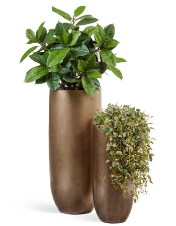 Комплект искусственных растений в кашпо Treez №62