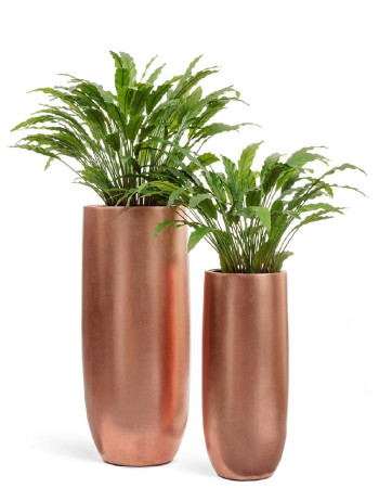 Комплект искусственных растений в кашпо Treez №84