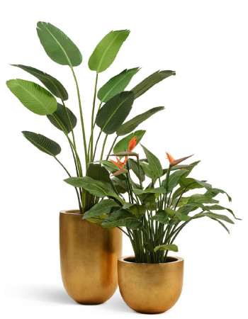 Комплект искусственных растений в кашпо Treez №76