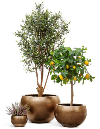 Комплект искусственных растений в кашпо Treez №70