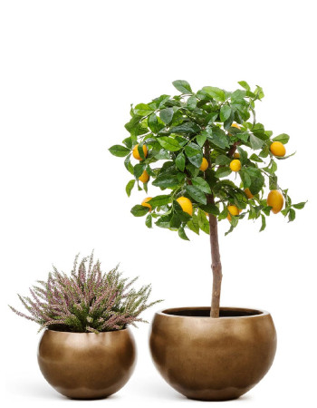 Комплект искусственных растений в кашпо Treez №71