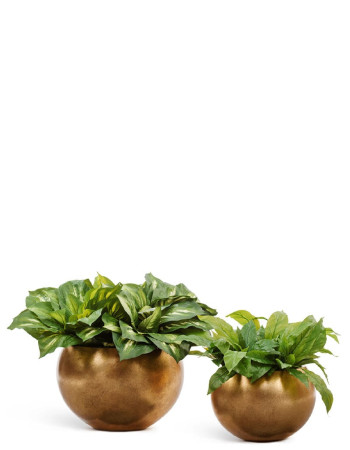 Комплект искусственных растений в кашпо Treez №79 Комплект искусственных растений в кашпо Treez №79