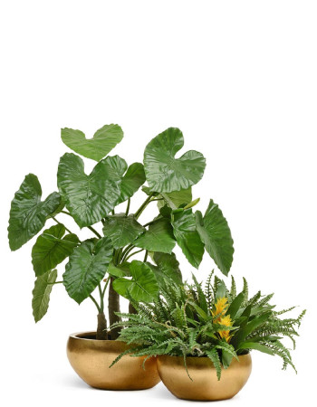 Комплект искусственных растений в кашпо Treez №77