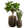 Комплект искусственных растений в кашпо Treez №66