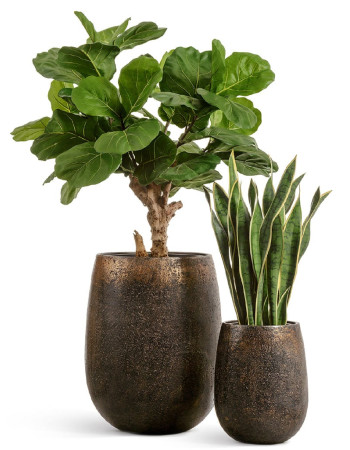 Комплект искусственных растений в кашпо Treez №66