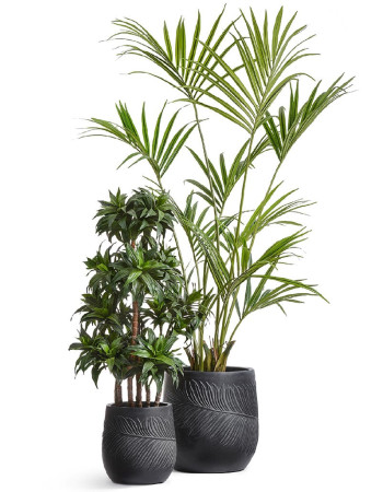Комплект искусственных растений в кашпо Treez №157