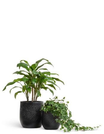 Комплект искусственных растений в кашпо Treez №156