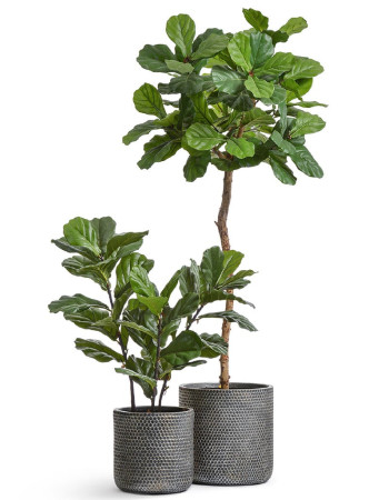 Комплект искусственных растений в кашпо Treez №162