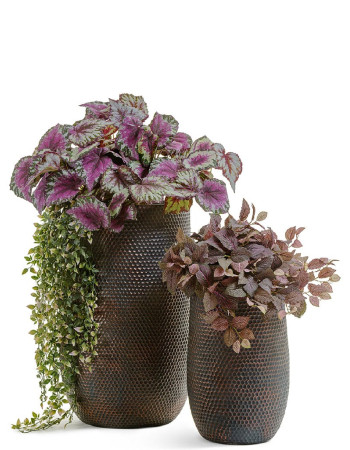 Комплект искусственных растений в кашпо Treez №163