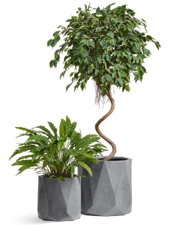 Комплект искусственных растений в кашпо Treez №169