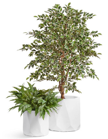 Комплект искусственных растений в кашпо Treez №170