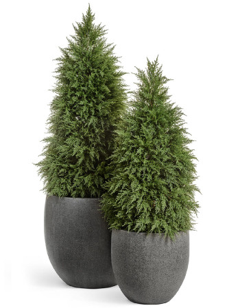 Комплект искусственных растений в кашпо Treez №97