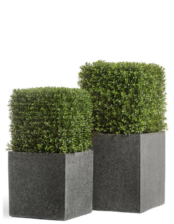 Комплект искусственных растений в кашпо Treez №98