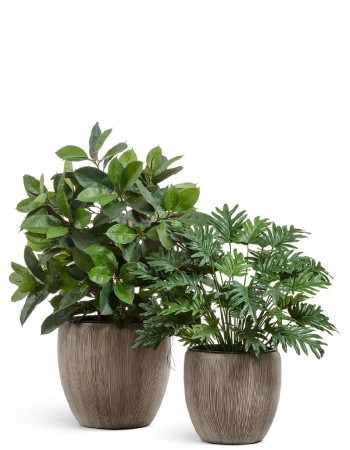 Комплект искусственных растений в кашпо Treez №108