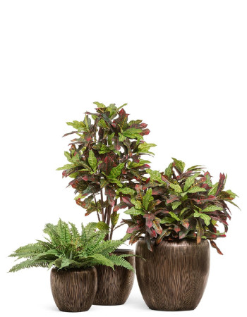 Комплект искусственных растений в кашпо Treez №111