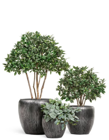 Комплект искусственных растений в кашпо Treez №109